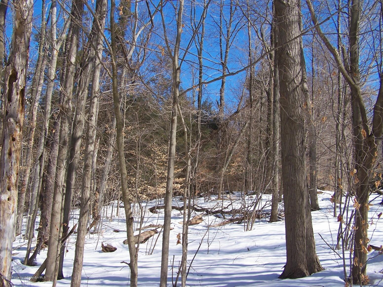 279 Tulip Road Harveys Lake, PA 18618 - Photo 31 of 31 Gallery Image 31
