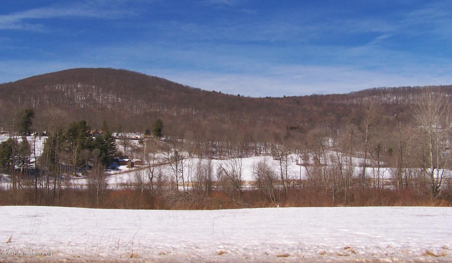 279 Tulip Road Harveys Lake, PA 18618 - Photo 4 of 31 Gallery Image 4