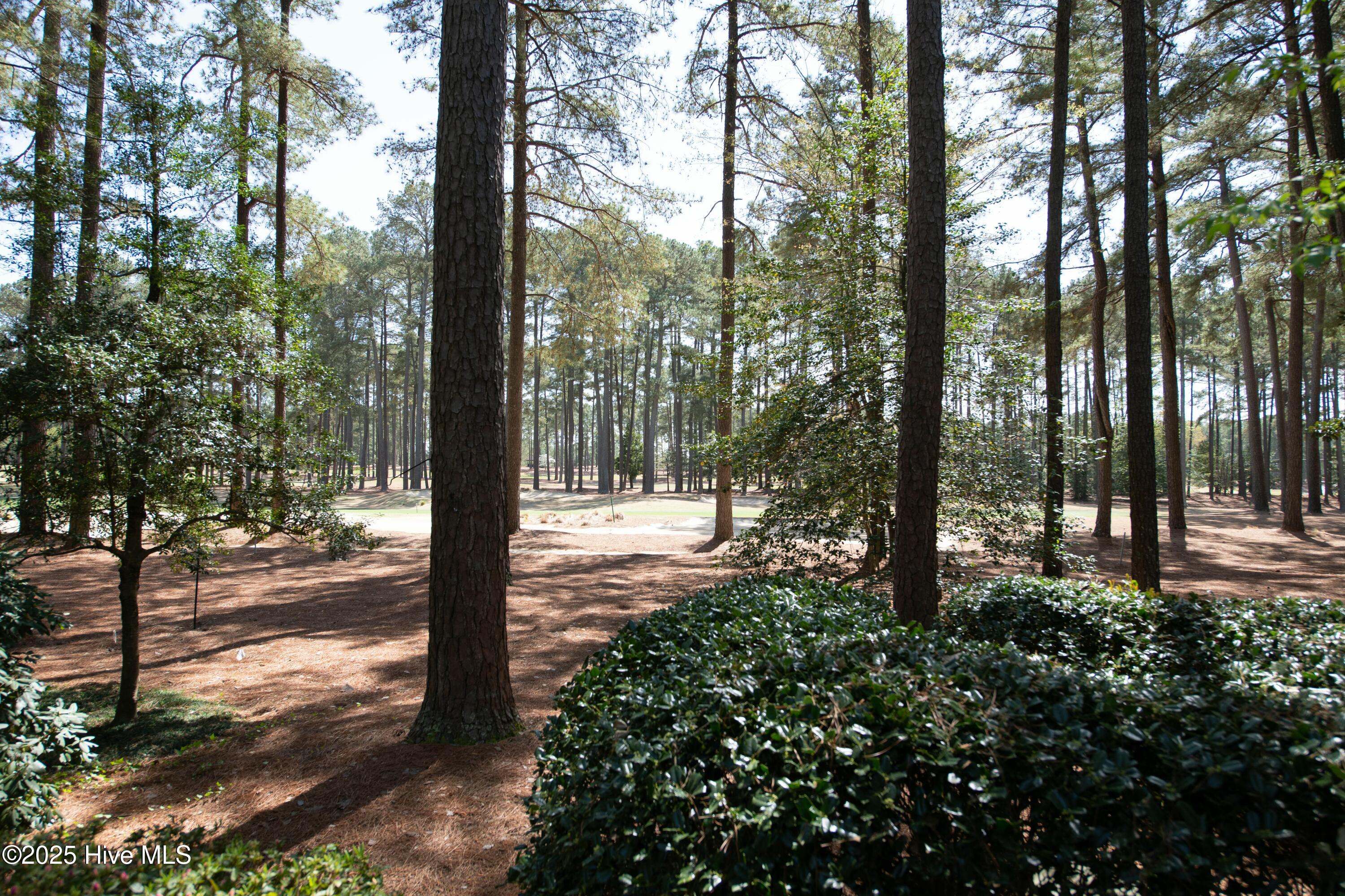 15 Greyabbey Drive Pinehurst, NC 28374 - Photo 31 of 112 tempImageTqmUGg