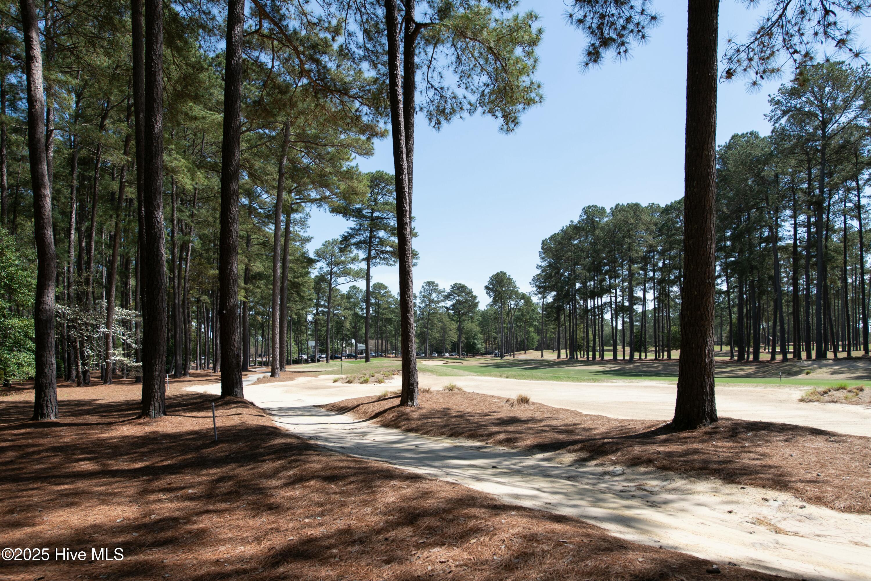 15 Greyabbey Drive Pinehurst, NC 28374 - Photo 35 of 112 tempImagevHFyZn