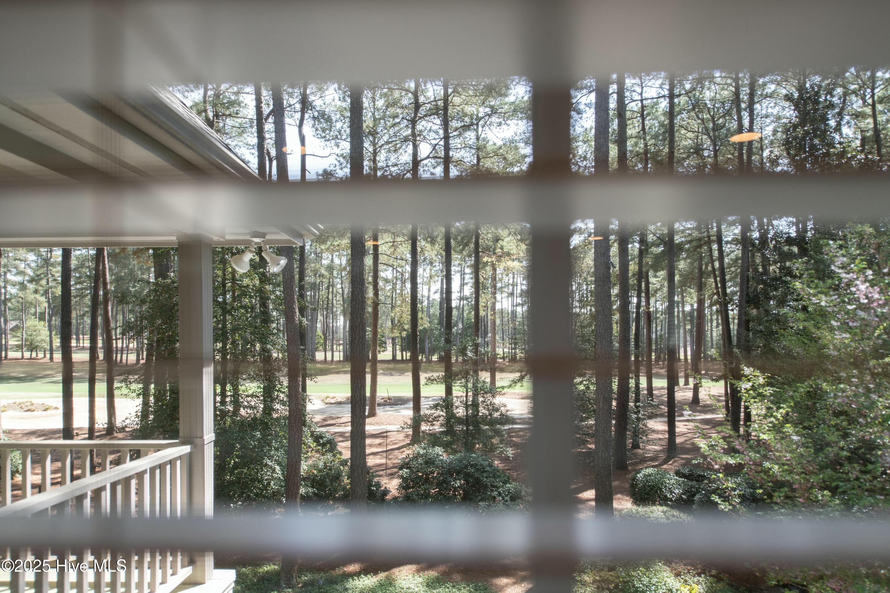 15 Greyabbey Drive Pinehurst, NC 28374 - Photo 72 of 112 tempImageembkzL