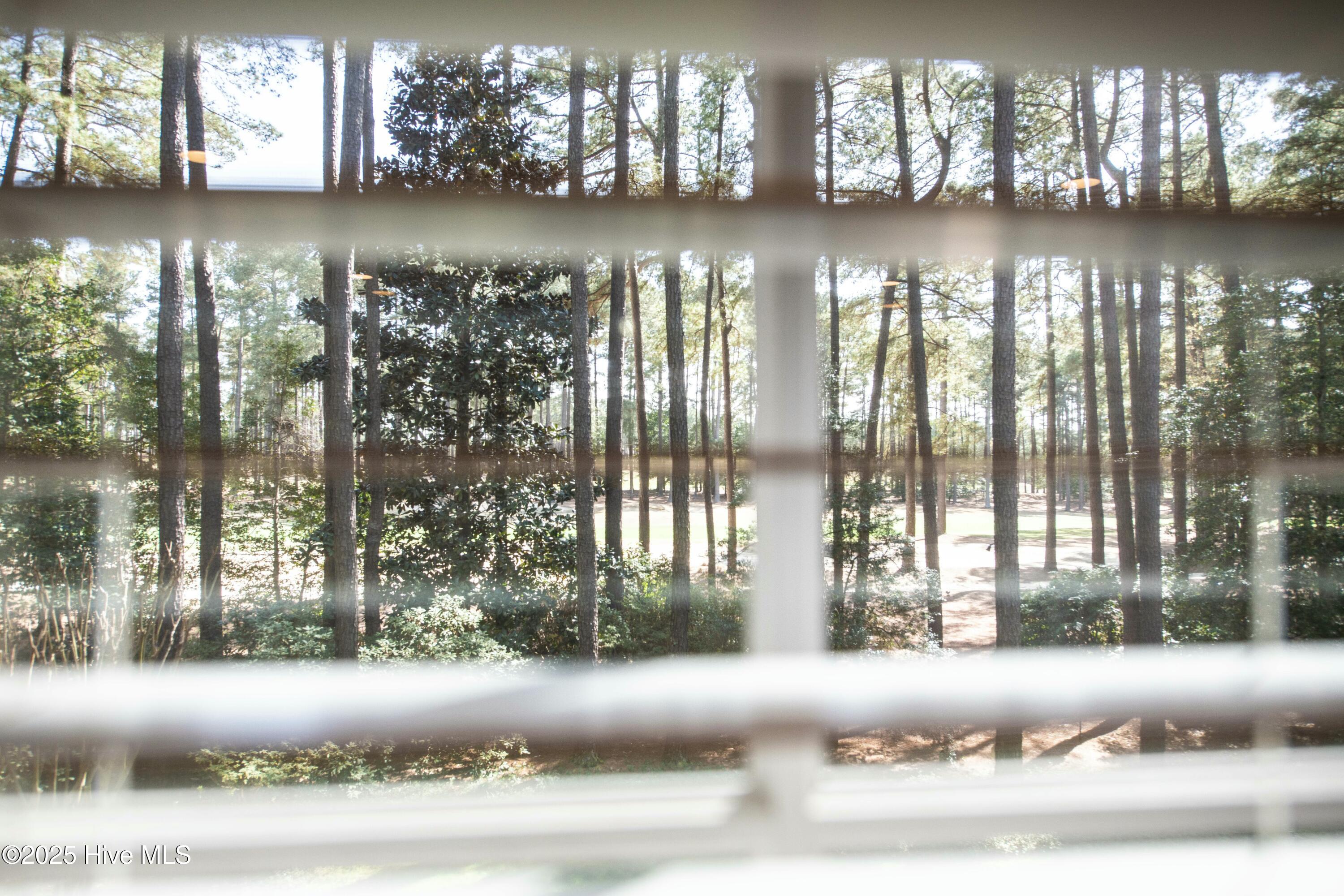 15 Greyabbey Drive Pinehurst, NC 28374 - Photo 76 of 112 tempImage9wOsDX