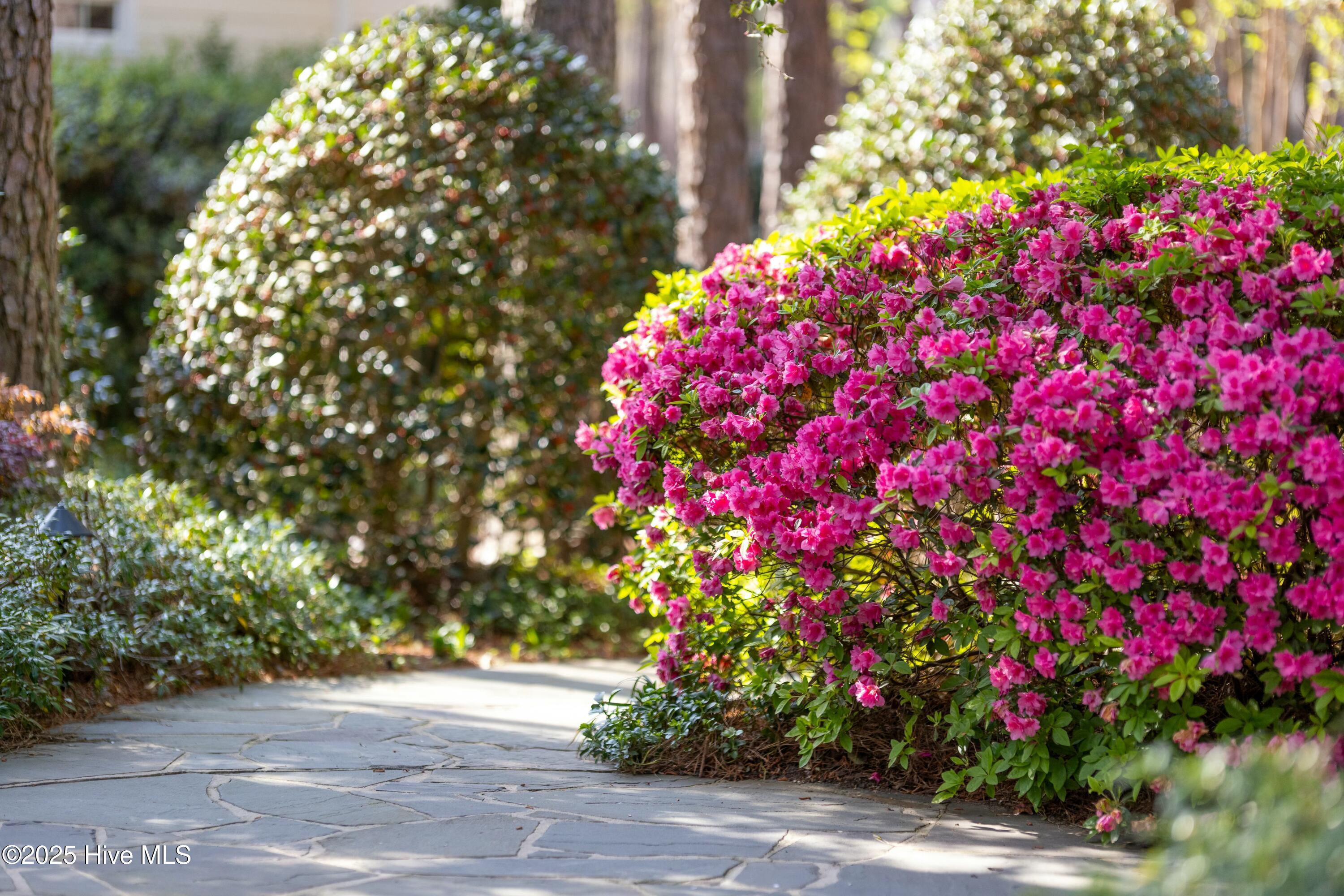 15 Greyabbey Drive Pinehurst, NC 28374 - Photo 94 of 112 tempImagek35oNR