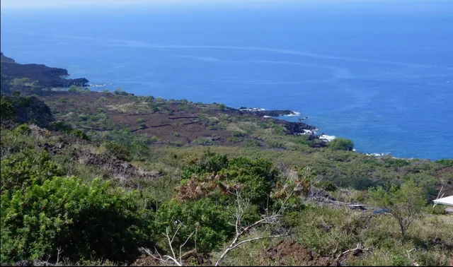 a view of a field with an ocean