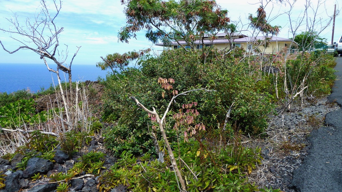 87-3179 Lot 233 Honu Hiamoe Road Captain Cook, HI 96704 - Photo 5 of 8 a view of a lake view with sitting space
