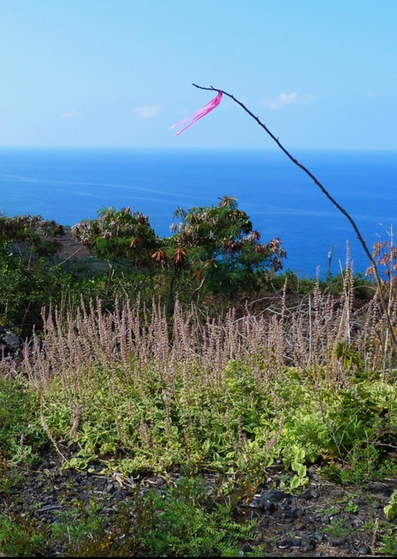 87-3179 Lot 233 Honu Hiamoe Road Captain Cook, HI 96704 - Photo 6 of 8 a view of a city