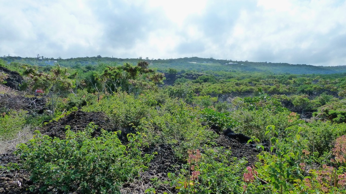87-3179 Lot 233 Honu Hiamoe Road Captain Cook, HI 96704 - Photo 8 of 8 an aerial view of a city and mountain view in back