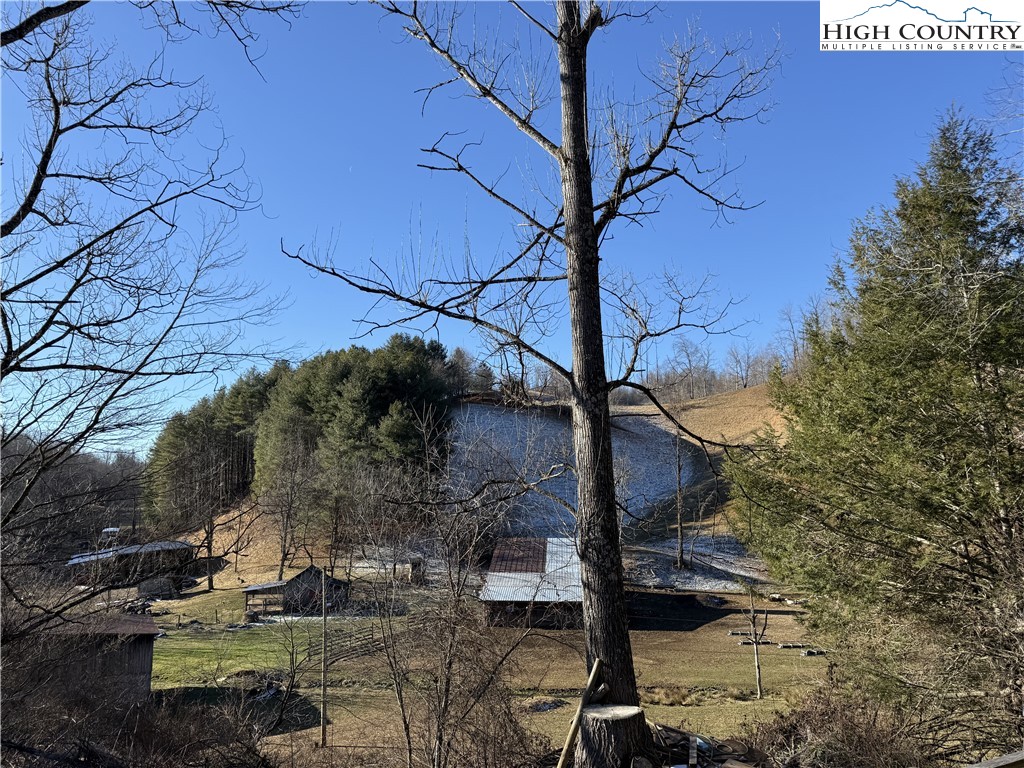 288 Sussex Road Grassy Creek, NC 28631 - Photo 20 of 22 a backyard of a house