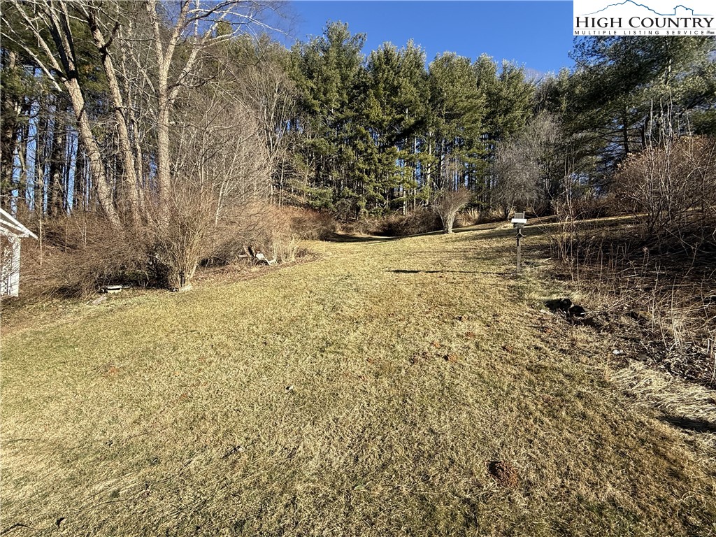 288 Sussex Road Grassy Creek, NC 28631 - Photo 21 of 22 a view of large tree