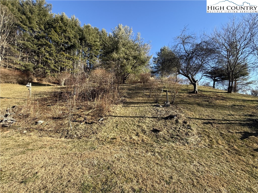 288 Sussex Road Grassy Creek, NC 28631 - Photo 22 of 22 a view of a yard with wooden fence