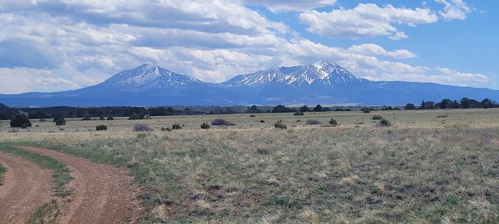 17 A Majors Ranch Road Walsenburg, CO 81089 - Photo 15 of 17
