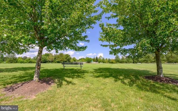 a view of a park with large trees