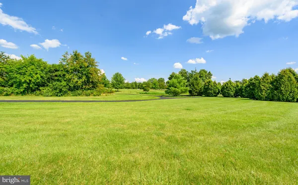 a view of a field with a big yard