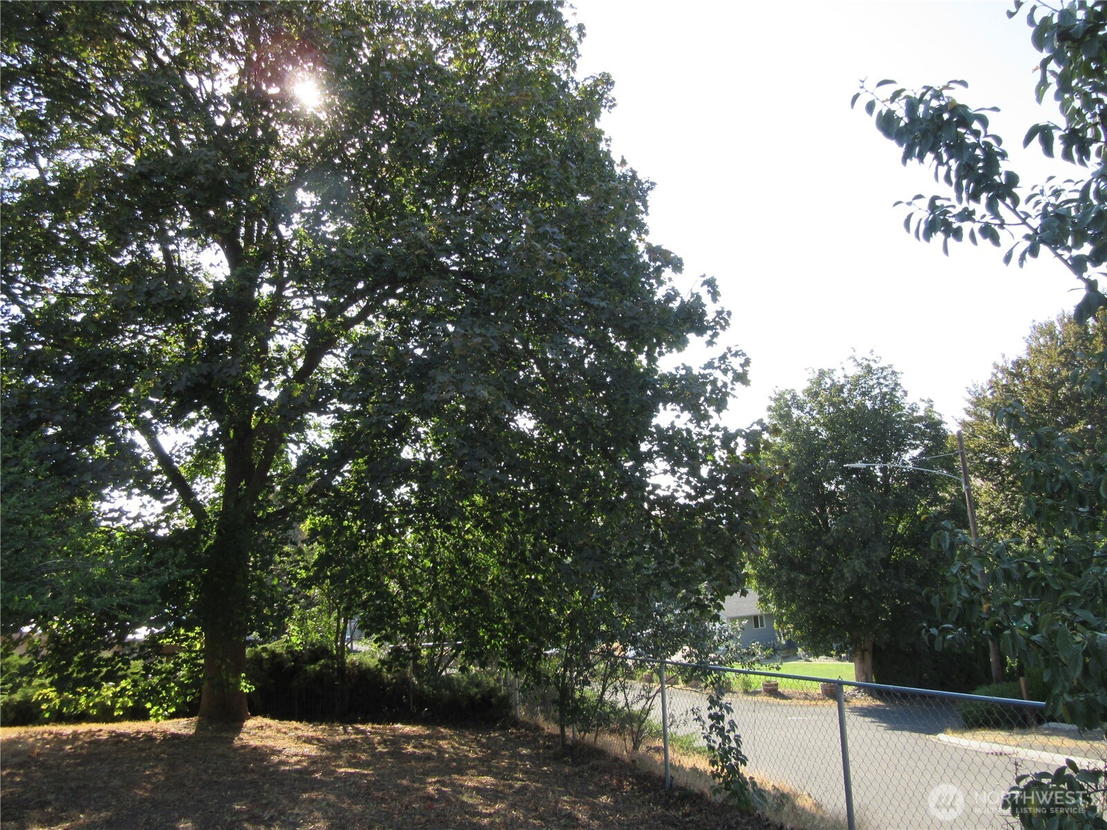804 East Clay Street Dayton, WA 99328 - Photo 6 of 8 a view of outdoor space and yard