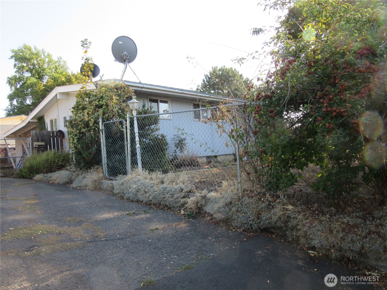 804 East Clay Street Dayton, WA 99328 - Photo 8 of 8 a front view of house with yard and trees around