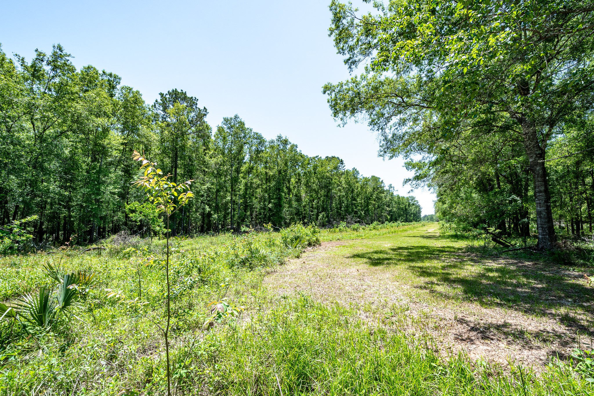 0 Cr 3774 Road Cleveland, TX 77327 - Photo 4 of 6