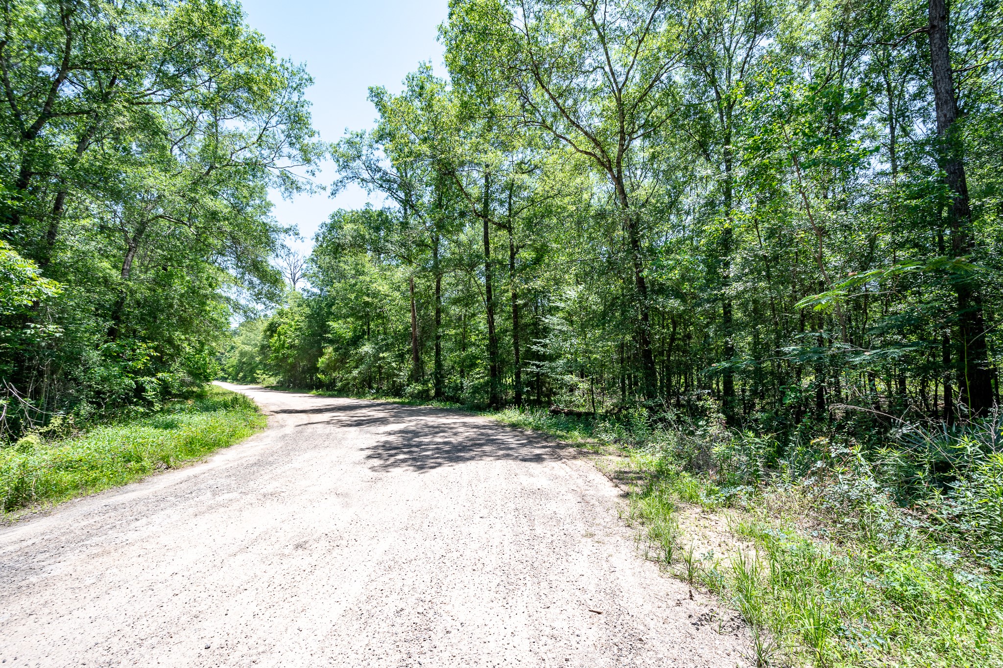 0 Cr 3774 Road Cleveland, TX 77327 - Photo 5 of 6