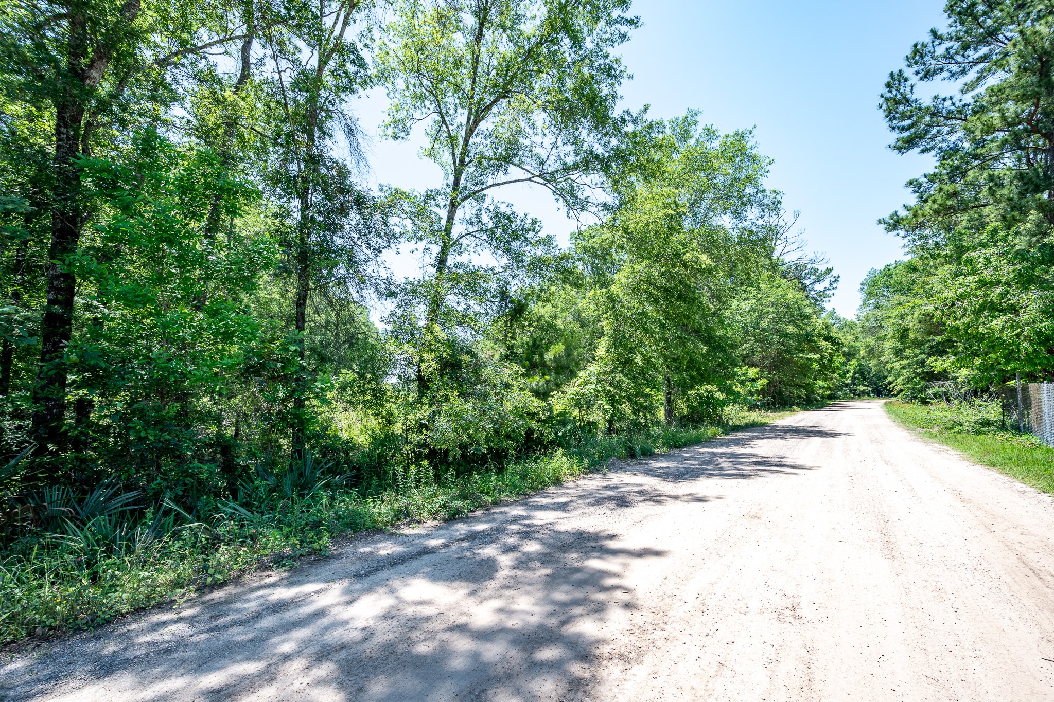 0 Cr 3774 Road Cleveland, TX 77327 - Photo 6 of 6