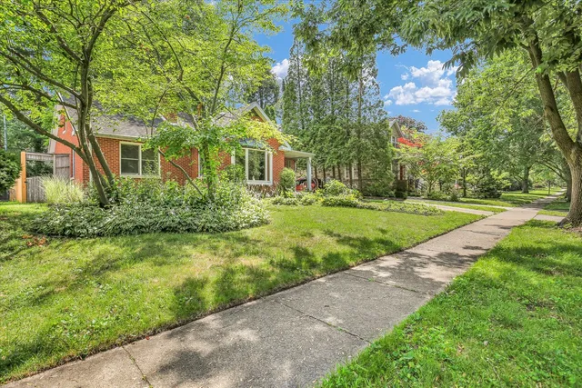 a view of a big yard with plants and large trees