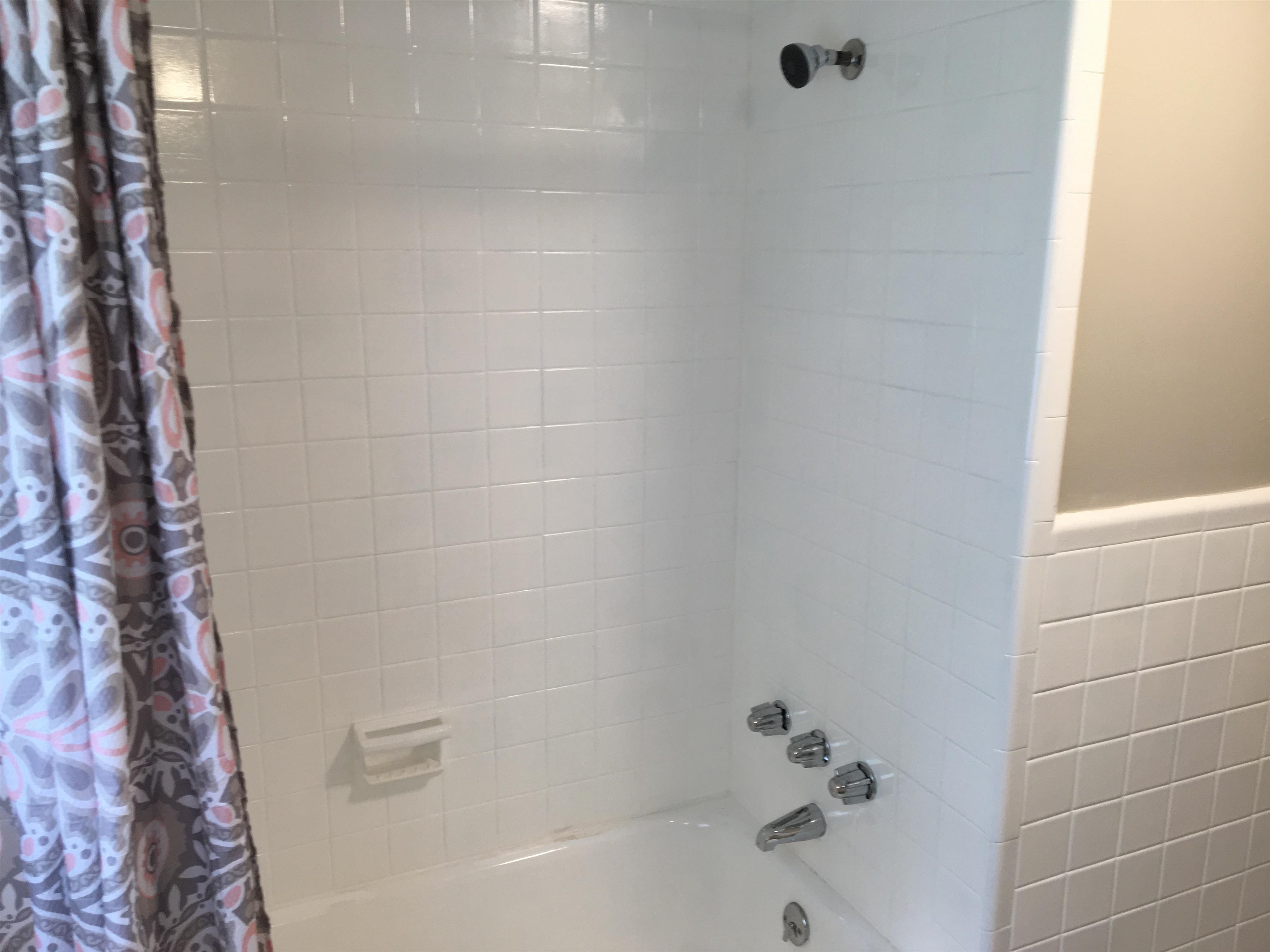 855 Highway 22 Shiloh, TN 38376 - Photo 15 of 24 a bathroom with a bathtub