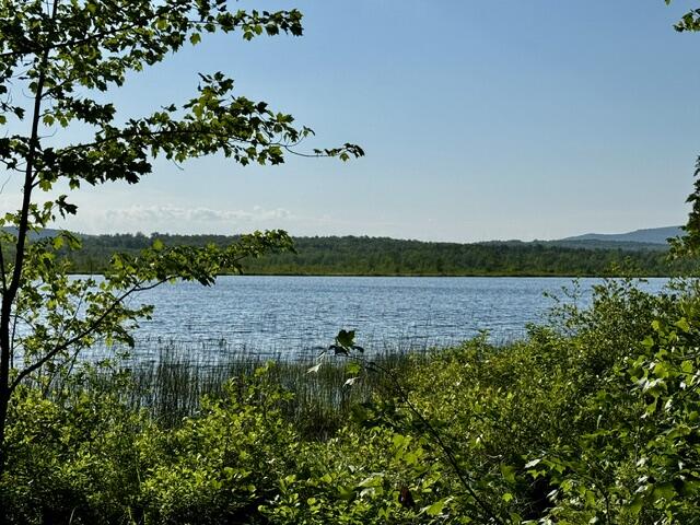 Lot 1 Skogen Ridge Drive Belgrade, ME 04917 - Photo 1 of 13 IMG_5430