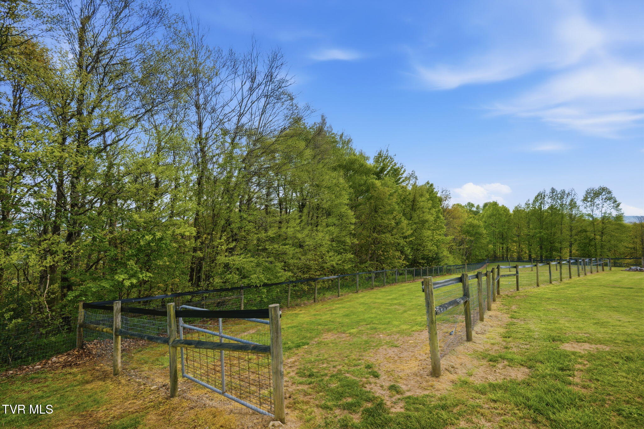 2835 Cross Mountain Road Shady Valley, TN 37688 - Photo 93 of 104 040