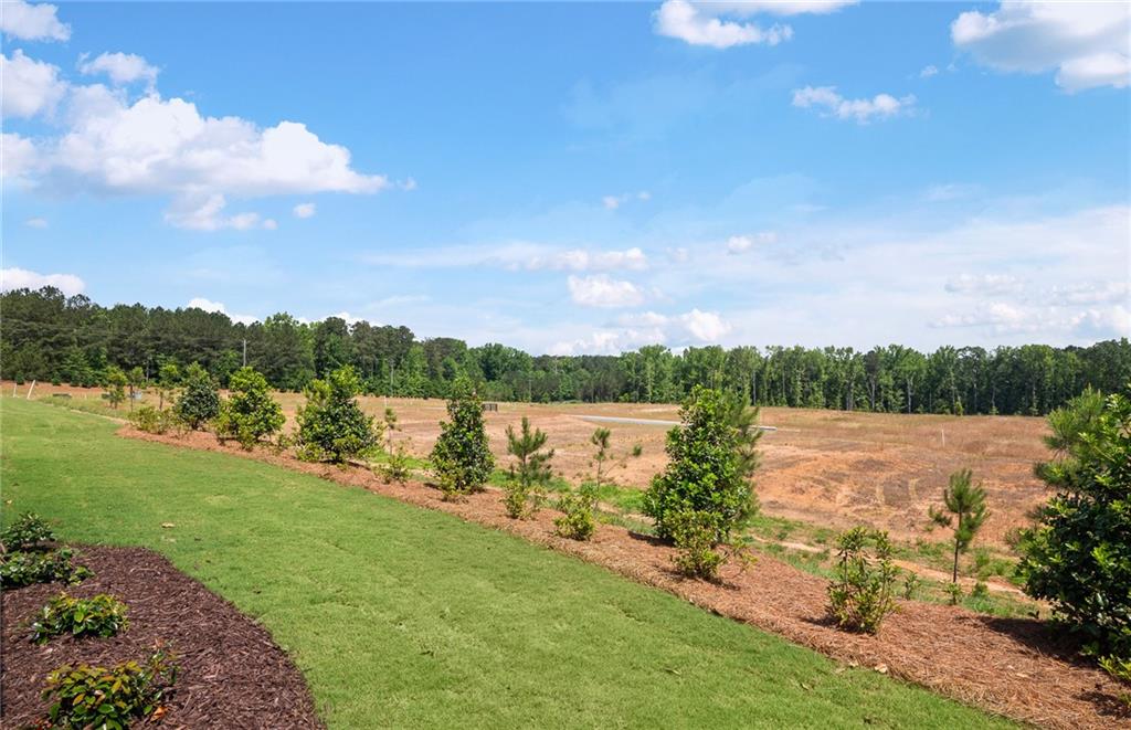 141 Kenney Way Locust Grove, GA 30248 - Photo 33 of 36