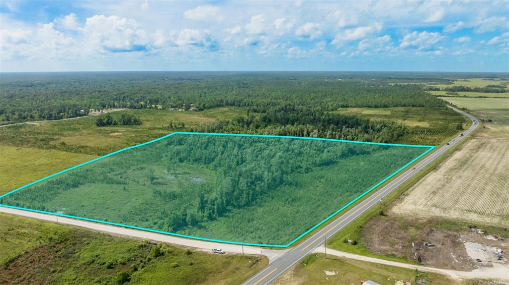 71 South Sr Wewahitchka, FL 32449 - Photo 1 of 31 a view of a field of grass and trees