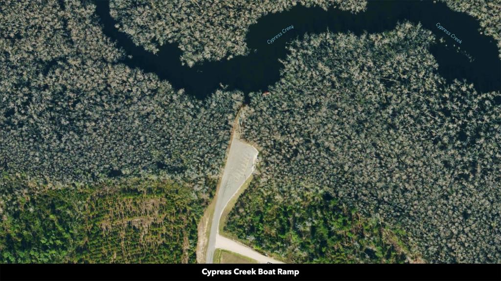 71 South Sr Wewahitchka, FL 32449 - Photo 14 of 31 a picture of trees