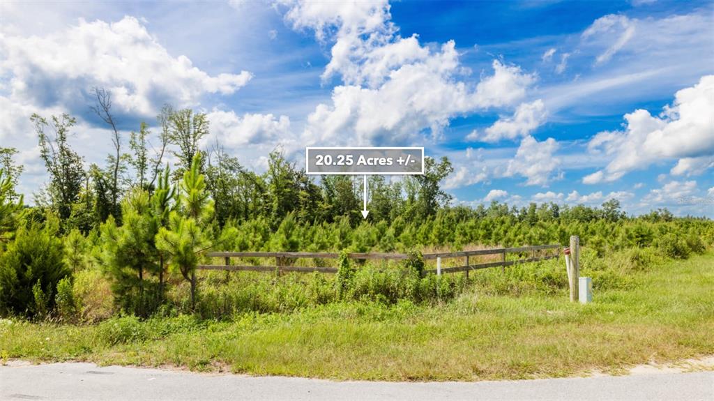 71 South Sr Wewahitchka, FL 32449 - Photo 21 of 31 a view of a yard