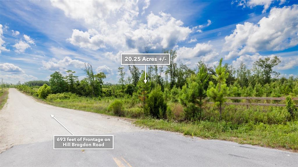 71 South Sr Wewahitchka, FL 32449 - Photo 22 of 31 a view