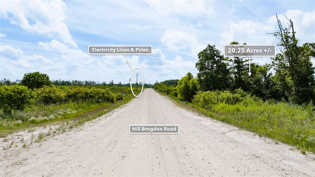 71 South Sr Wewahitchka, FL 32449 - Photo 23 of 31 a view of a street with a big yard