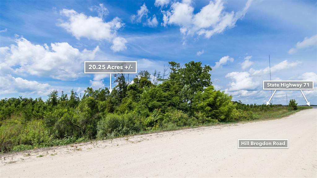 71 South Sr Wewahitchka, FL 32449 - Photo 24 of 31 a view of a sign board with a yard