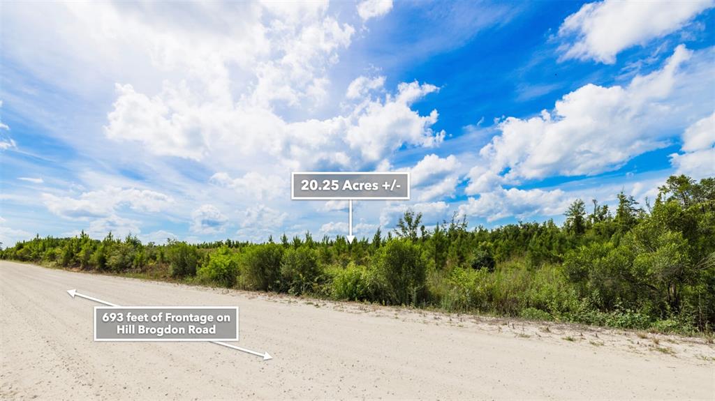 71 South Sr Wewahitchka, FL 32449 - Photo 27 of 31 a view of a street with a building in the background