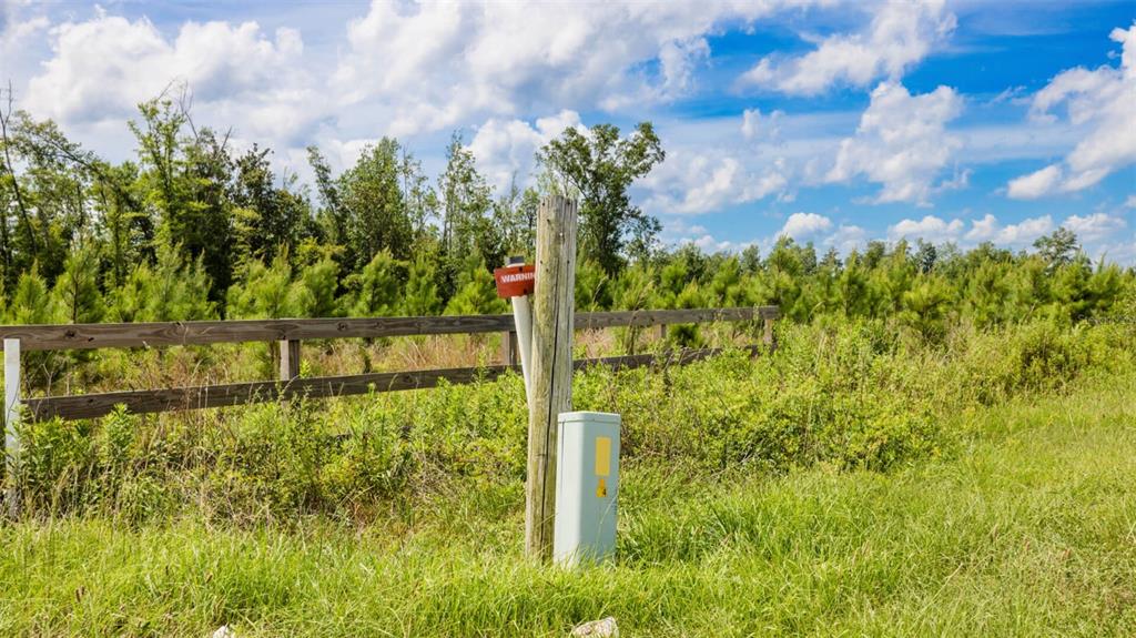71 South Sr Wewahitchka, FL 32449 - Photo 6 of 31 a garden view