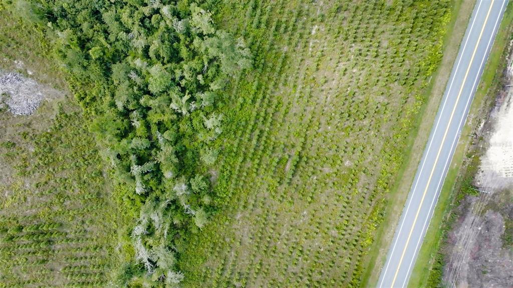 71 South Sr Wewahitchka, FL 32449 - Photo 8 of 31