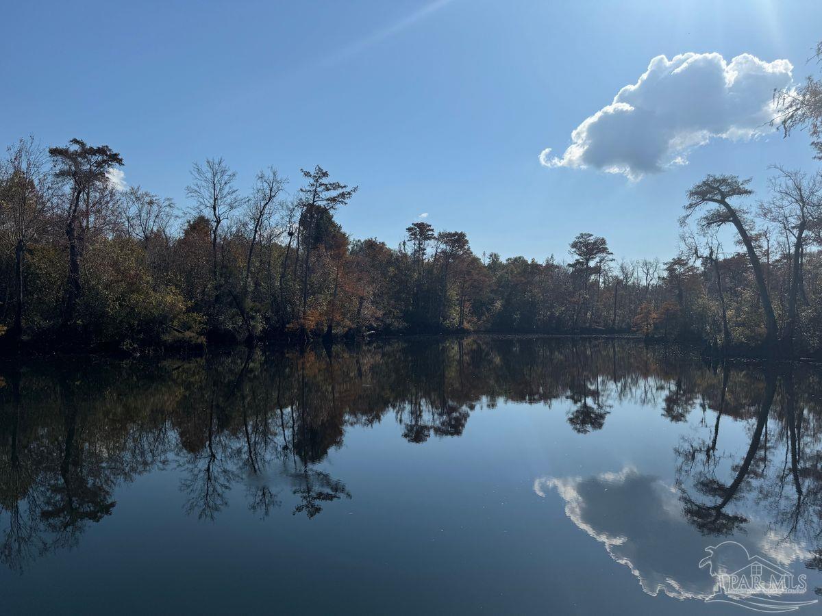 2020 Becks Lake Road Cantonment, FL 32533 - Photo 6 of 7