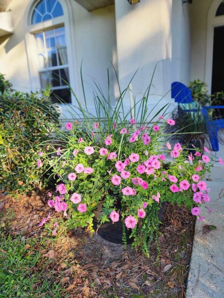 1435 Northwest 100th Terrace Gainesville, FL 32606 - Photo 17 of 20 Exterior view
