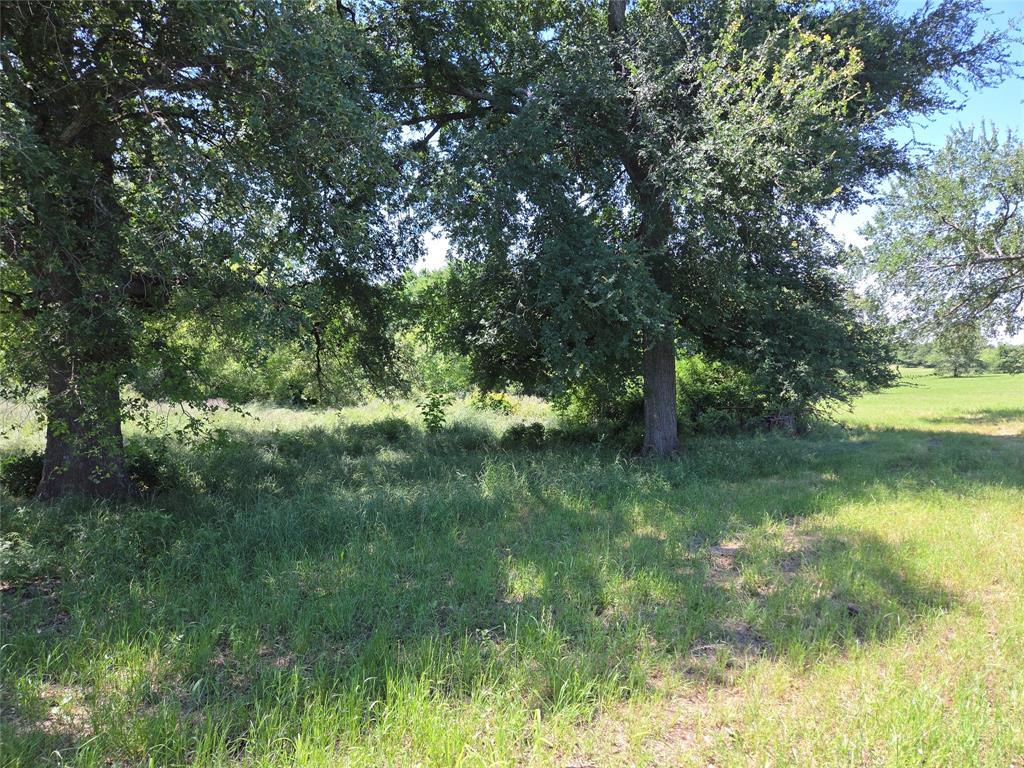 Lot 100 Lake Ridge Drive Streetman, TX 75859 - Photo 11 of 38 a view of lake background with green space