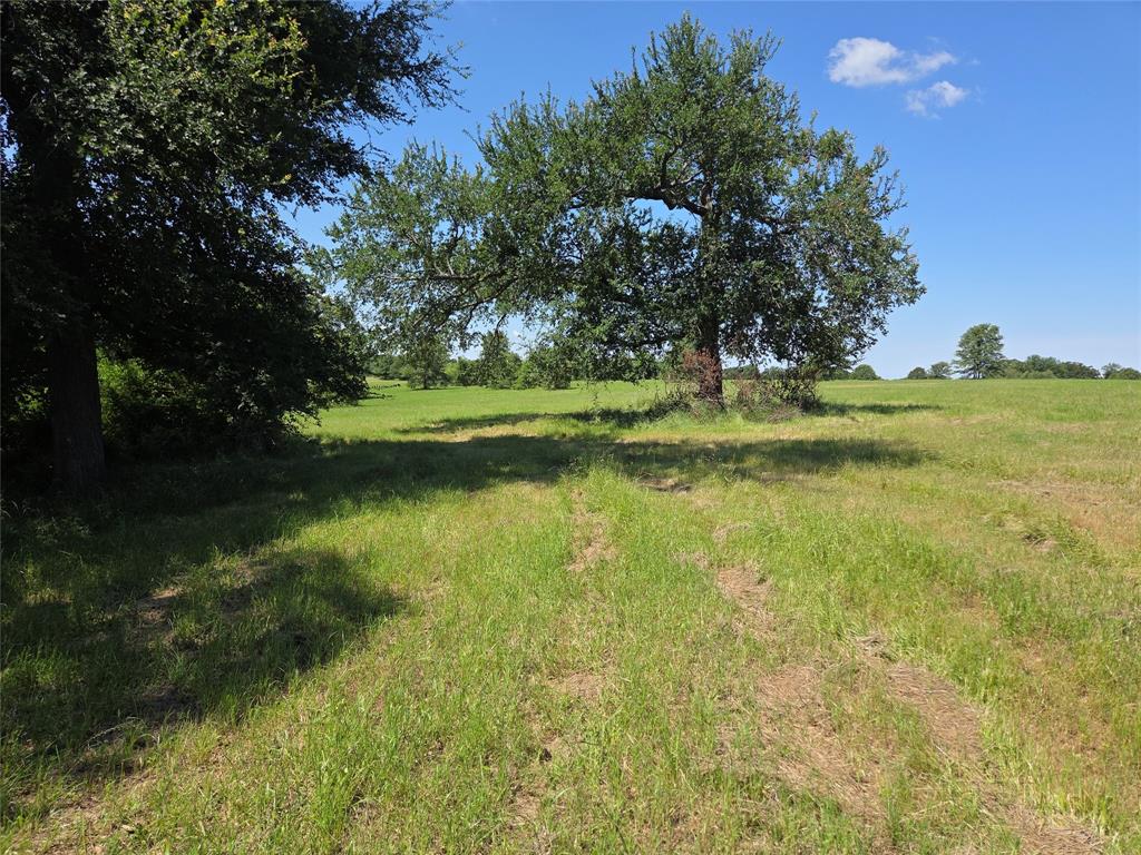 Lot 100 Lake Ridge Drive Streetman, TX 75859 - Photo 12 of 38 a view of a lake view