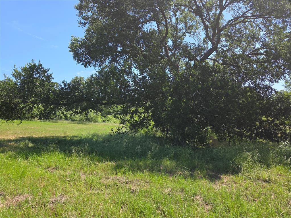Lot 100 Lake Ridge Drive Streetman, TX 75859 - Photo 13 of 38 a view of a lake view