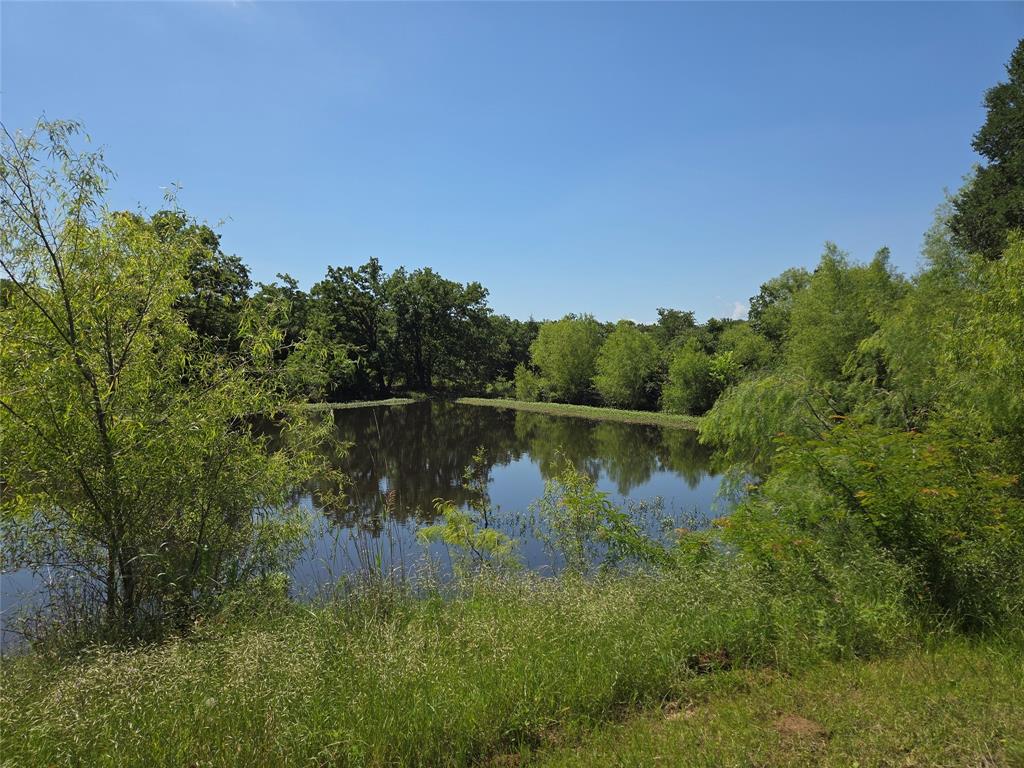 Lot 100 Lake Ridge Drive Streetman, TX 75859 - Photo 14 of 38 a view of lake