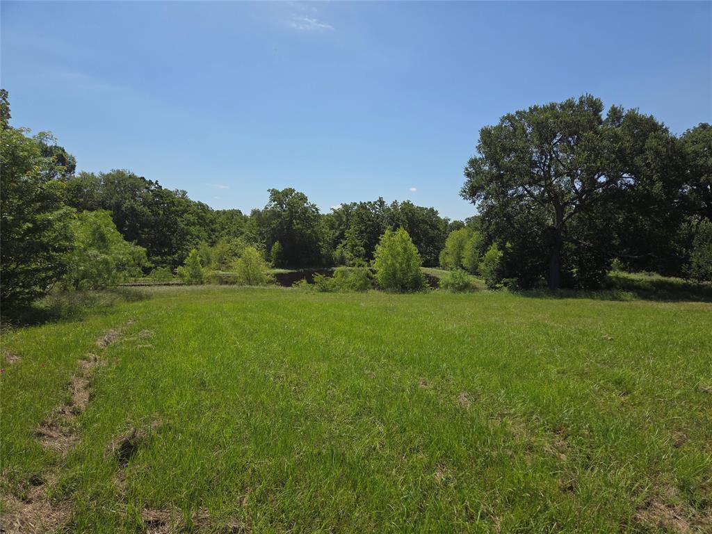 Lot 100 Lake Ridge Drive Streetman, TX 75859 - Photo 15 of 38 a view of a field of grass and trees