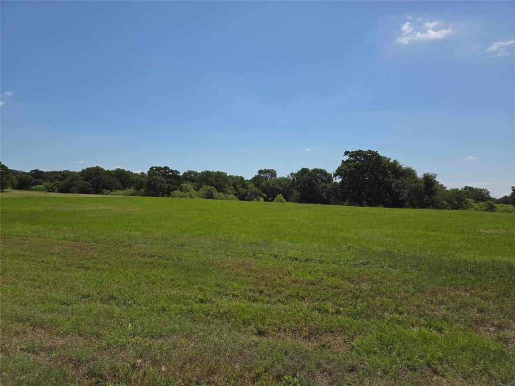 Lot 100 Lake Ridge Drive Streetman, TX 75859 - Photo 16 of 38