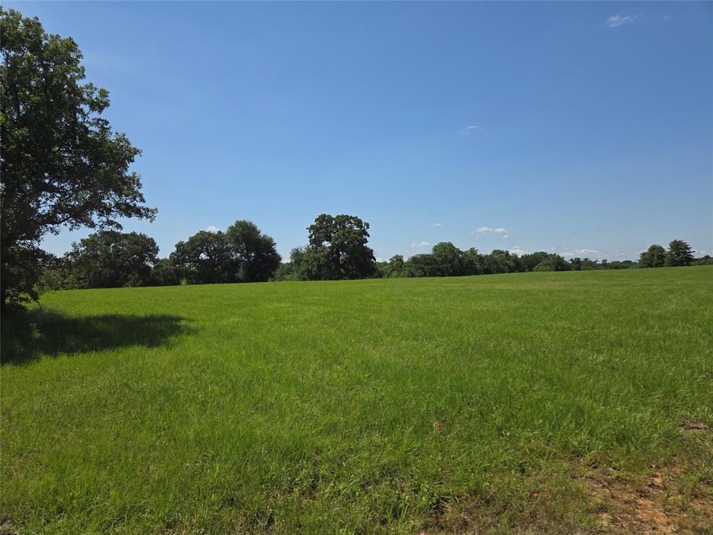 Lot 100 Lake Ridge Drive Streetman, TX 75859 - Photo 17 of 38 a view of a garden and basketball court