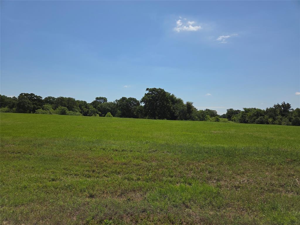 Lot 100 Lake Ridge Drive Streetman, TX 75859 - Photo 18 of 38 a view of a green field
