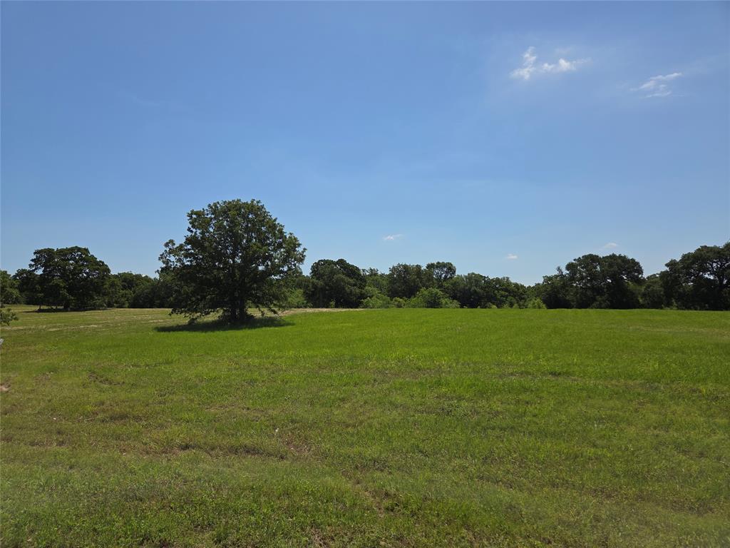 Lot 100 Lake Ridge Drive Streetman, TX 75859 - Photo 22 of 38 a view of grassy field with mountain