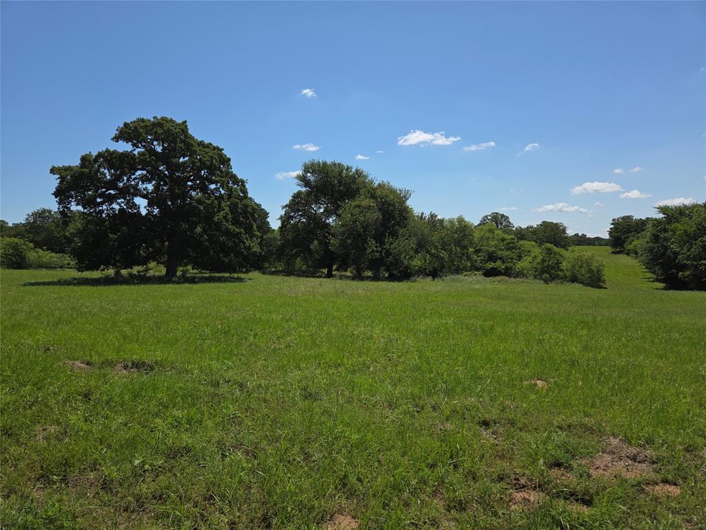 Lot 100 Lake Ridge Drive Streetman, TX 75859 - Photo 24 of 38 a view of field with grass and trees