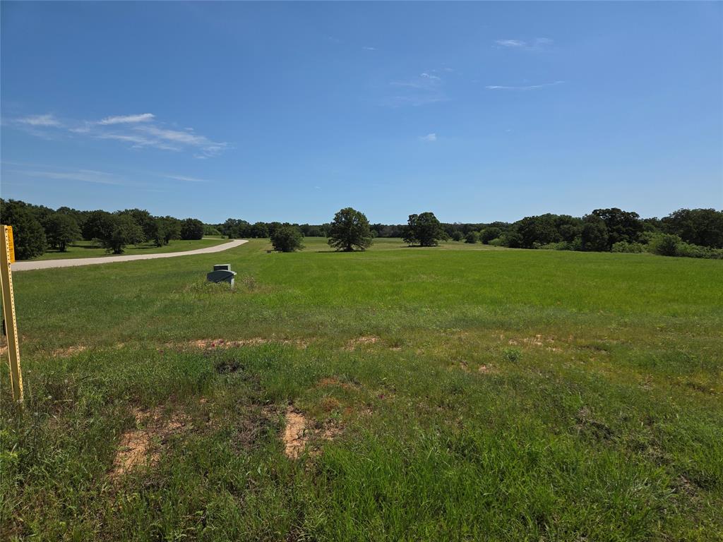Lot 100 Lake Ridge Drive Streetman, TX 75859 - Photo 26 of 38 a view of an outdoor space and a yard