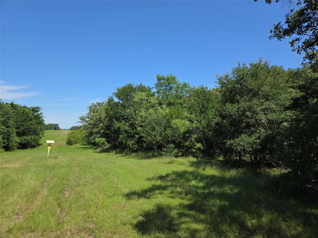 Lot 100 Lake Ridge Drive Streetman, TX 75859 - Photo 28 of 38 a view of yard with green space